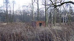 120_TZ60_P1060428_cr