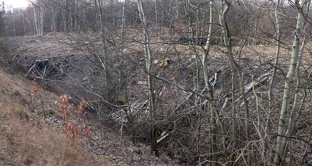 120_3D_P1060303_cr.jpg