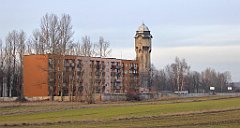 147_TZ60_P1060506d_cr