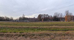 151_TZ60_P1060510_cr