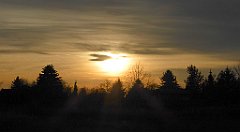 165_TZ60_P1060524_cr