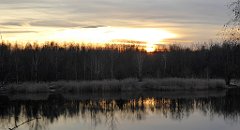 178_TZ60_P1060537_cr