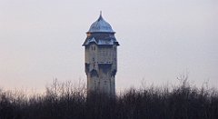 182_TZ60_P1060543_cr