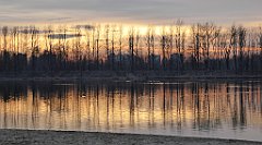 188_TZ60_P1060549_cr