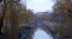 190_TZ60_P1060551_cr