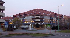 195_TZ60_P1060556_cr