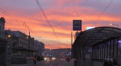 201_TZ60_P1060562_cr