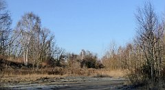 048_TZ60_P1060615_cr