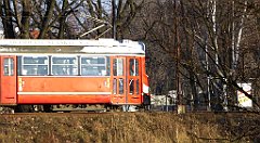 062_TZ60_P1060622_cr