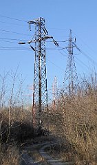 078_TZ60_P1060627_cr