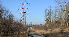 085_TZ60_P1060630_cr