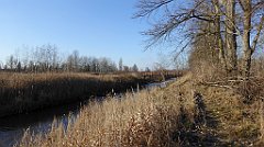 127_TZ60_P1060639_cr