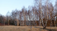 208_TZ60_P1060695_cr