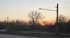 219_TZ60_P1060706_cr