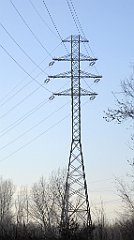 103_TZ60_P1060725_cr