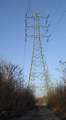 107_TZ60_P1060729_cr