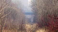 148_TZ60_P1060739_cr