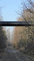 163_TZ60_P1060742_cr