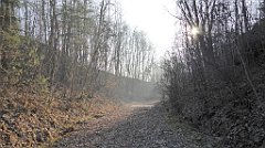 164_TZ60_P1060743_cr