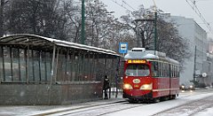 008_TZ60_P1070643_cr