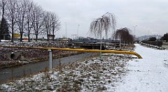 038_TZ60_P1070674_cr