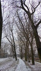 041_TZ60_P1070677_cr