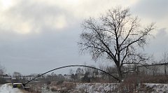 054_TZ60_P1070690_cr