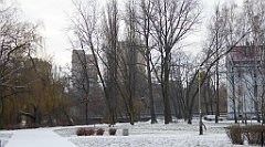 136_TZ60_P1070773_cr