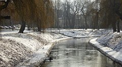 152_TZ60_P1070789_cr