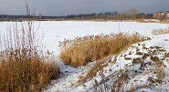 251_TZ60_P1070896_cr