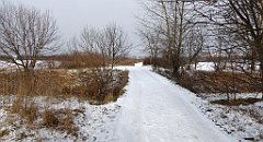 293_TZ60_P1070939_cr