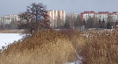 296_TZ60_P1070942_cr