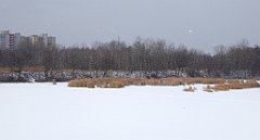 298_TZ60_P1070944_cr