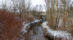 329_TZ60_P1070978_cr