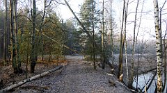 0020_TZ60_P1080341_cr