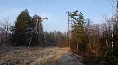 0038_TZ60_P1080352_cr