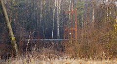 0039_TZ60_P1080353_cr