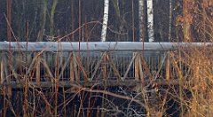 0042_TZ60_P1080355_cr