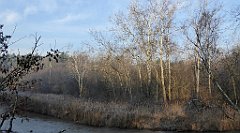 0056_TZ60_P1080361_cr