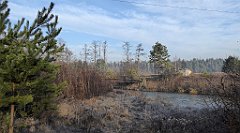 0094_TZ60_P1080375_cr