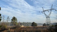 0098_TZ60_P1080378_cr