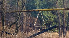 0112_TZ60_P1080390_cr