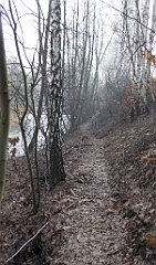 0132_TZ60_P1080407_cr