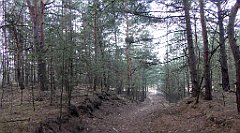 0157_TZ60_P1080428_cr