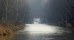 0189_TZ60_P1080455_cr