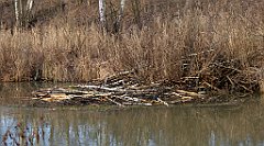 0196_TZ60_P1080460_cr