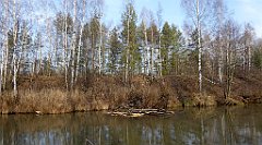 0200_TZ60_P1080462_cr