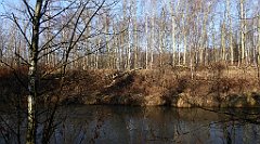 0216_TZ60_P1080474_cr