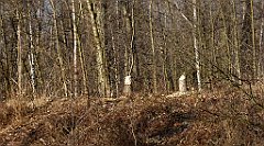 0220_TZ60_P1080478_cr