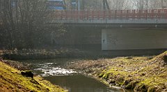 0298_TZ60_P1080540_cr